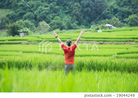 Young man freedom in nature,rice field 19044249