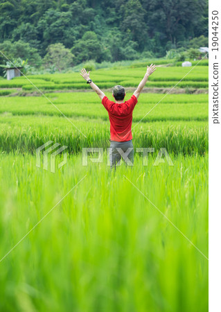 Young man freedom in nature,rice field Young man freedom in nature,rice field 19044250