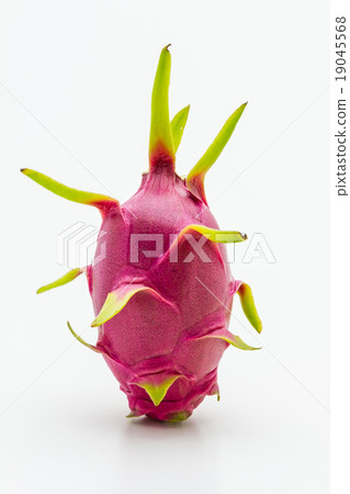 Dragon Fruit 19045568