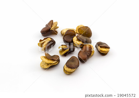 Fried Vicia faba bean. 19045572