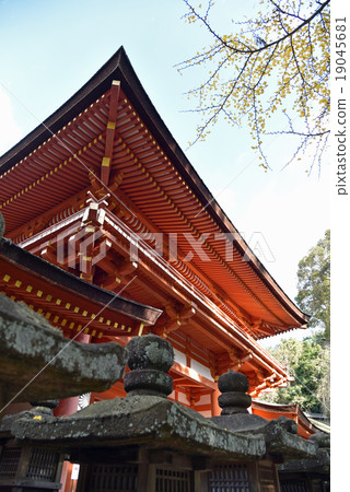 The southern gate of Kasuga Taisha Shrine 19045681