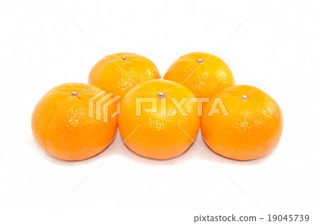 group five Oranges on White Background group five Oranges on White Background 19045739