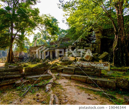 Preah Khan Temple, Angkor, Siem Reap, Cambodia. 19046344