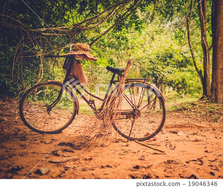 Vintage bicycle standing in the tropical forest 19046346