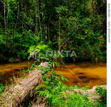 Thousand lingas river. Angkor. Siem Reap. Cambodia Thousand lingas river. Angkor. Siem Reap. Cambodia 19046349