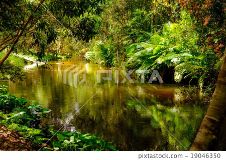 Thousand lingas river. Angkor. Siem Reap. Cambodia Thousand lingas river. Angkor. Siem Reap. Cambodia 19046350