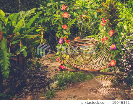 Wooden beautiful swing in the jungle Wooden beautiful swing in the jungle 19046351