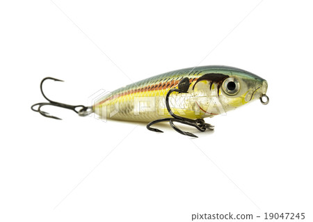 Fish bait 19047245