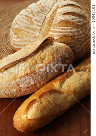 Campagne France bread 19048101