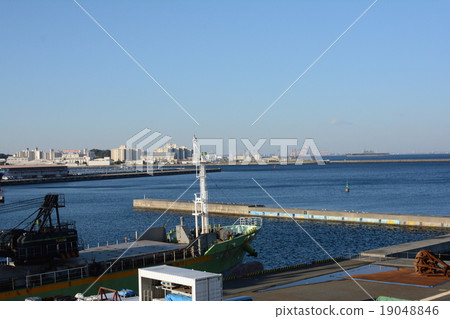 Port area 19048846