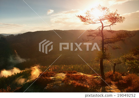 View through branches to deep misty valley View through branches to deep misty valley 19049252