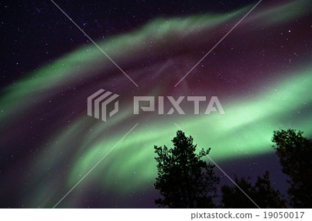 北極的天空 19050017