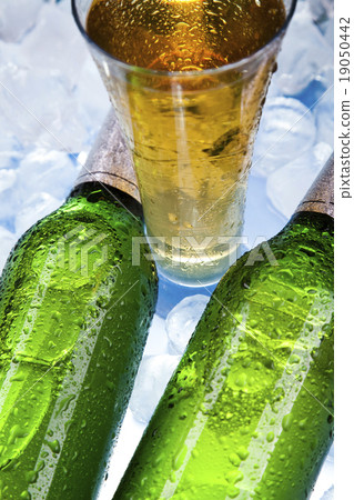 Still life with beer, bright vibrant alcohol theme 19050442