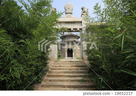 Beijing Tashima Beijing Tashima 19052217