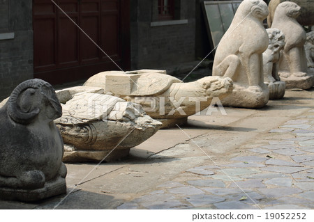 Beijing Tashima Beijing Tashima 19052252