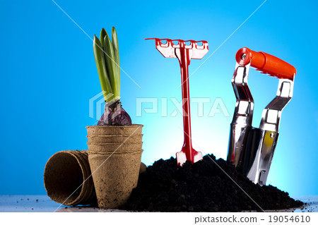 Garden concept, vivid bright springtime Garden concept, vivid bright springtime 19054610