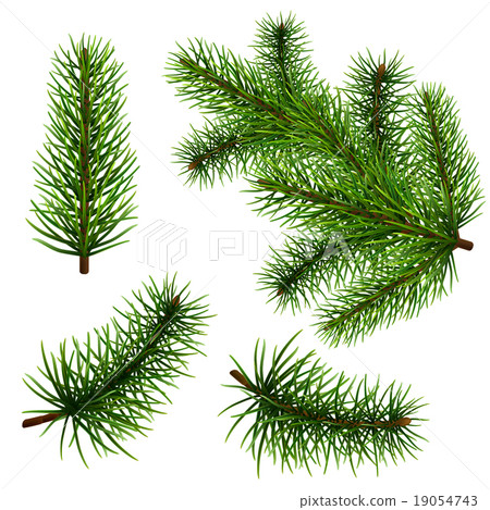Set realistic fir branches 19054743