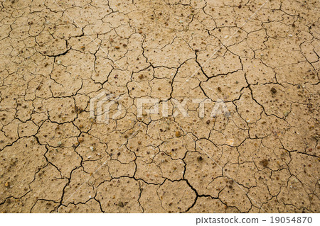 Dry cracked ground Dry cracked ground 19054870
