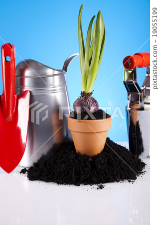 Gardening concept, work tools, plants Gardening concept, work tools, plants 19055199