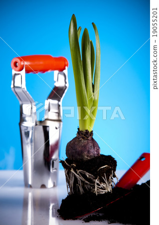 Gardening concept, work tools, plants Gardening concept, work tools, plants 19055201