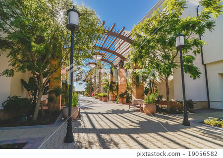 Planting a beautiful shopping area 19056582