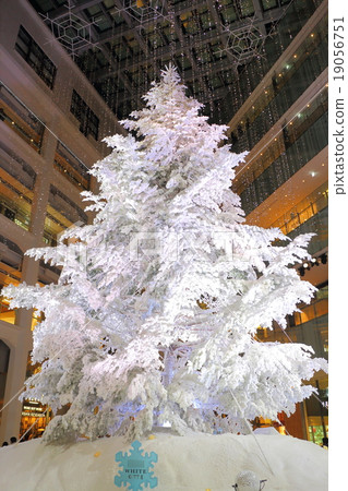 聖誕樹 照明 彩燈 19056751