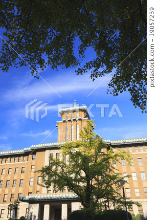 Fall of Nippon Odori 19057239