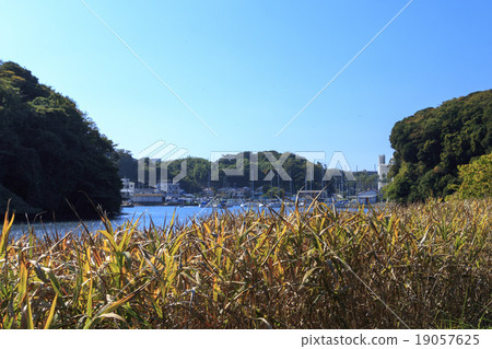 小和灣的秋天 19057625