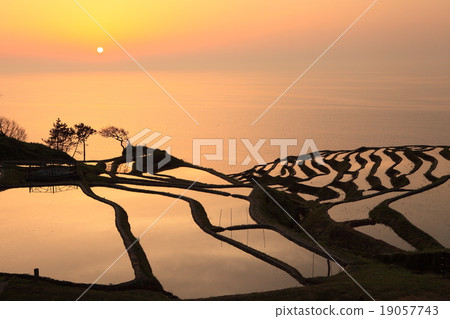 白米1000日落晚上風景 19057743