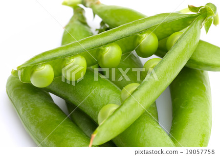 pea pods on a white background pea pods on a white background 19057758