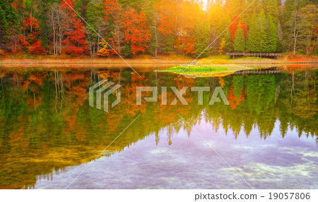 picturesque lake in the autumn forest picturesque lake in the autumn forest 19057806