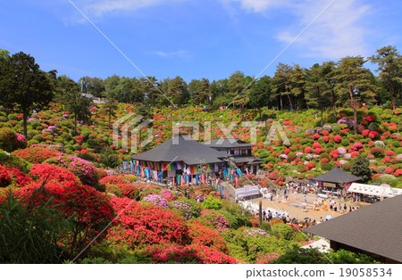 Salt Ship Kanonji Azalea Festival 19058534