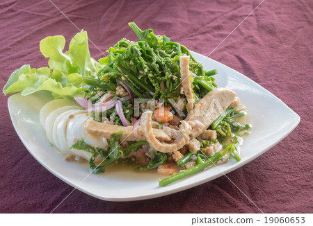 Vegetable fern Vegetable fern 19060653