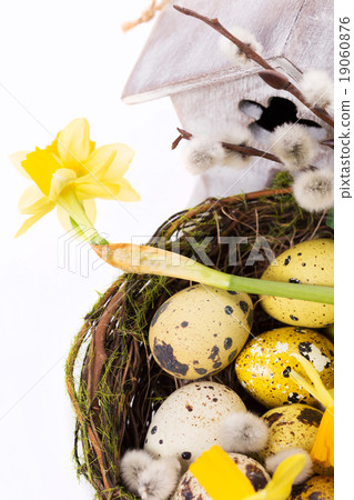 Easter eggs in the nest with narcissus Easter eggs in the nest with narcissus 19060876