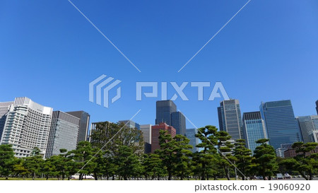 Pine grove and Marunouchi building group and blue sky Pine grove and Marunouchi building group and blue sky 19060920
