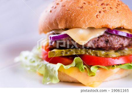Fresh tasty homemade burger Fresh tasty homemade burger 19061165