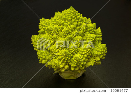  Romanesco西蘭花羅馬式西蘭花分形 19061477