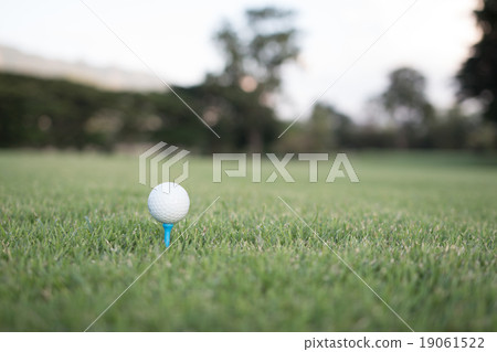 golf ball on tee in evening ligth golf ball on tee in evening ligth 19061522