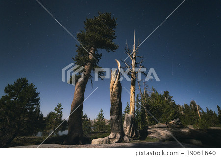Landscape in the Sierra Nevada Mountains 19061640