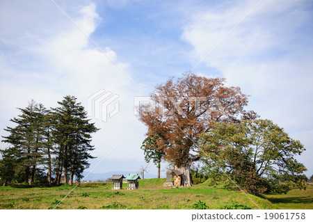 Hondo Castle Ru Akita ken Hondo Castle Ru Akita ken 19061758