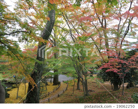Yamazaki mountain of Kenrokuen where the autumn leaves are beautiful 19062250