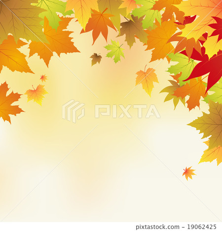 autumn background with leaves vector illustration autumn background with leaves vector illustration 19062425