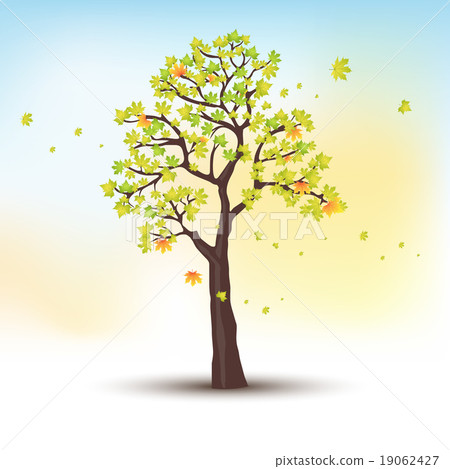 autumn tree vector autumn tree vector 19062427