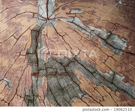 Old wood surface at local wood bridge Old wood surface at local wood bridge 19062510