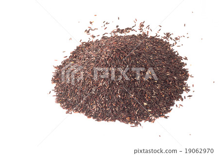 rice berry on white background 19062970
