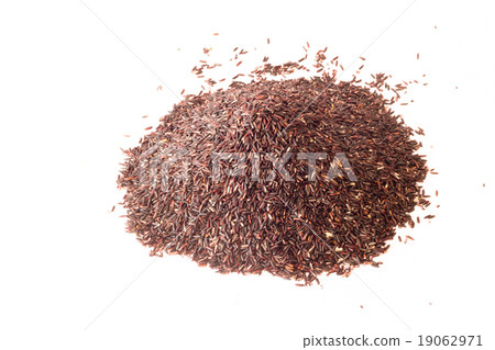 rice berry on white background 19062971