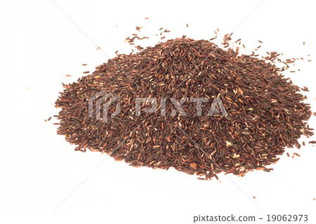 rice berry on white background 19062973