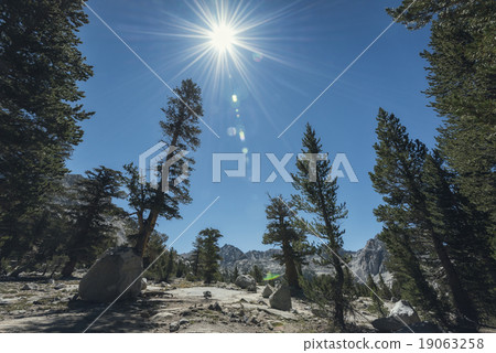 Landscape in the Sierra Nevada Mountains 19063258