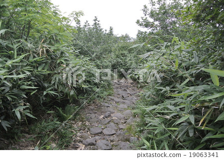 Mountain trail of Chokai 19063341