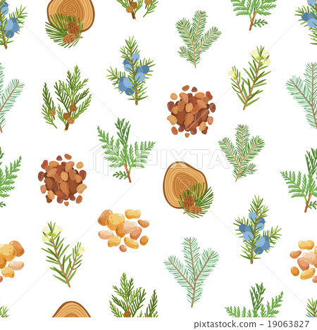 Coniferous, pine, wood and resin seamless pattern 19063827